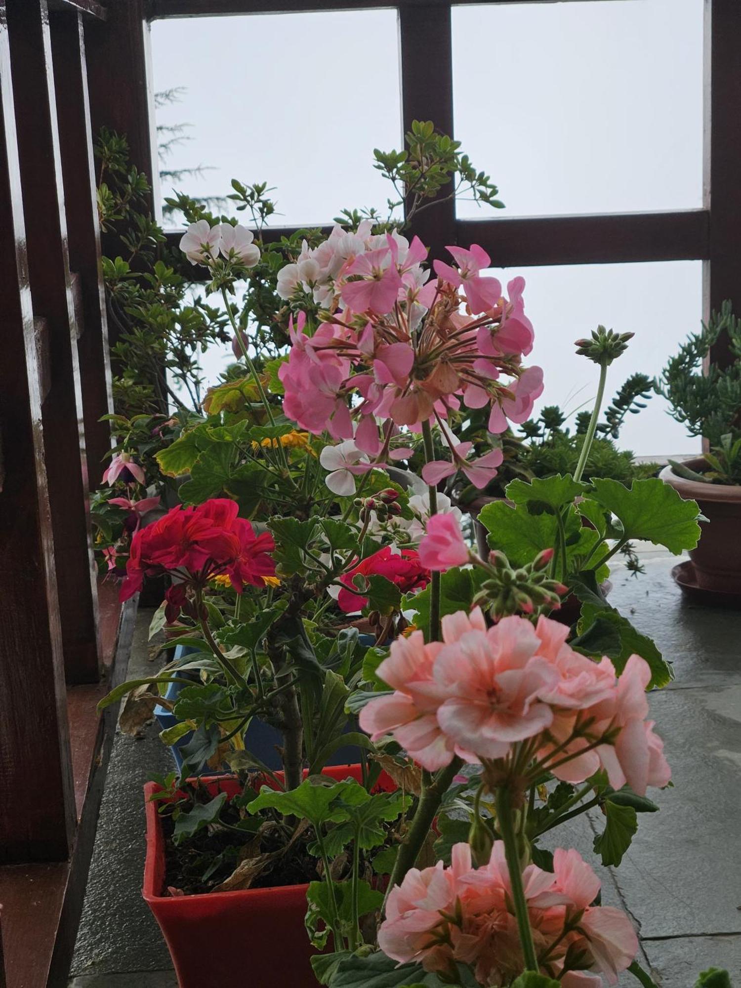 Ishan Log Huts-A Boutique Home Stay Banjar Ngoại thất bức ảnh